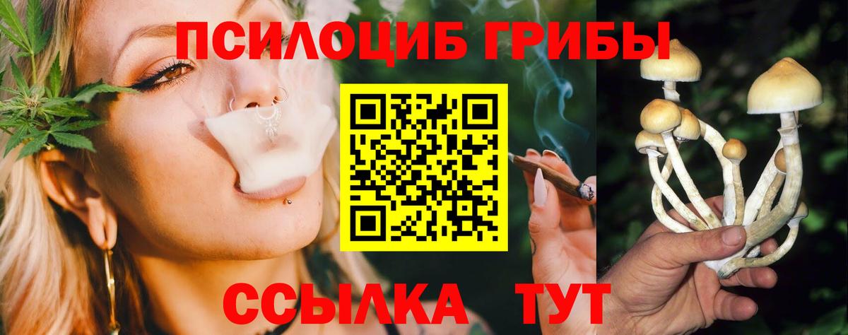 Псилоцибиновые грибы Magic Shrooms  Вход с VPN  Ульяновск 